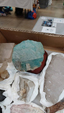  Brescia Mineral Show