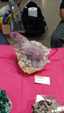  Brescia Mineral Show