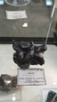 Brescia Mineral Show