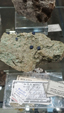 Brescia Mineral Show