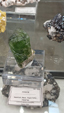 Brescia Mineral Show