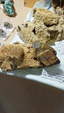 Brescia Mineral Show