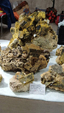 Brescia Mineral Show