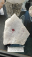 Brescia Mineral Show