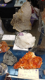 Brescia Mineral Show