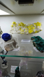 Brescia Mineral Show