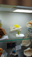 Brescia Mineral Show