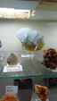 Brescia Mineral Show