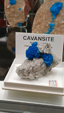 Brescia Mineral Show