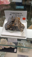 Brescia Mineral Show