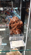 Brescia Mineral Show