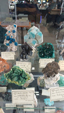 Brescia Mineral Show