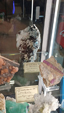 Brescia Mineral Show