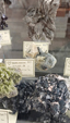 Brescia Mineral Show
