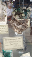 Brescia Mineral Show