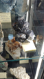 Brescia Mineral Show