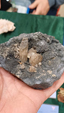 Brescia Mineral Show