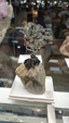 Brescia Mineral Show