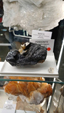 Brescia Mineral Show
