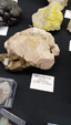Brescia Mineral Show
