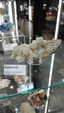 Brescia Mineral Show