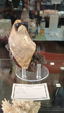 Brescia Mineral Show