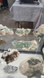 Brescia Mineral Show