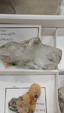 Brescia Mineral Show