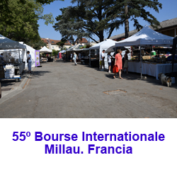 55º Bourse Internationale Minéraux et Fossiles. Millau. Francia 