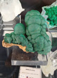 60 Editión Mineral & Gem. Saintie Marie Aux Mines. Alsace.. France
