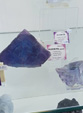 60 Editión Mineral & Gem. Saintie Marie Aux Mines. Alsace.. France