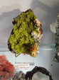 60 Editión Mineral & Gem. Saintie Marie Aux Mines. Alsace.. France
