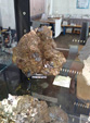 60 Editión Mineral & Gem. Saintie Marie Aux Mines. Alsace.. France