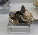 60 Editión Mineral & Gem. Saintie Marie Aux Mines. Alsace.. France