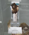 60 Editión Mineral & Gem. Saintie Marie Aux Mines. Alsace.. France