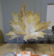 60 Editión Mineral & Gem. Saintie Marie Aux Mines. Alsace.. France