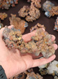 60 Editión Mineral & Gem. Saintie Marie Aux Mines. Alsace.. France