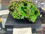61 Editión Mineral & Gem. Saintie Marie Aux Mines. Alsace. France