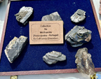 61 Editión Mineral & Gem. Saintie Marie Aux Mines. Alsace. France