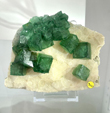 61 Editión Mineral & Gem. Saintie Marie Aux Mines. Alsace. France