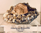 61 Editión Mineral & Gem. Saintie Marie Aux Mines. Alsace. France