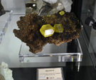 61 Editión Mineral & Gem. Saintie Marie Aux Mines. Alsace. France