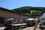 61 Editión Mineral & Gem. Saintie Marie Aux Mines. Alsace. France