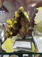  47 Sicily Mineral Show 