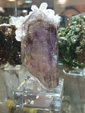  47 Sicily Mineral Show 