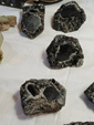  47 Sicily Mineral Show 