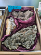  4ème bourse vente-échange minéraux et fossiles de Trébas-Villeneuve (Tarn) 