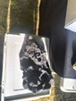     4ème bourse vente-échange minéraux et fossiles de Trébas-Villeneuve (Tarn)