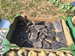     4ème bourse vente-échange minéraux et fossiles de Trébas-Villeneuve (Tarn)