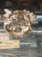 54º Torino EUROMINERALEXPO.
